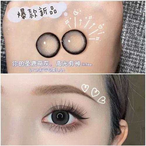 Красивый ученик Священная оленя в сером году, маленький диаметр, не -халф -лежащий.