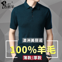 Short-sleeved cardigan mens spring and Autumn knitwear Youth t-shirt mens youth lapel t-shirt Solid color trend sweater