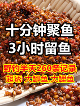 Chuanjia Banners homemade wild fishing nest material Rice God cows nest bottom coarse grains crucian carp grain and wheat nest material