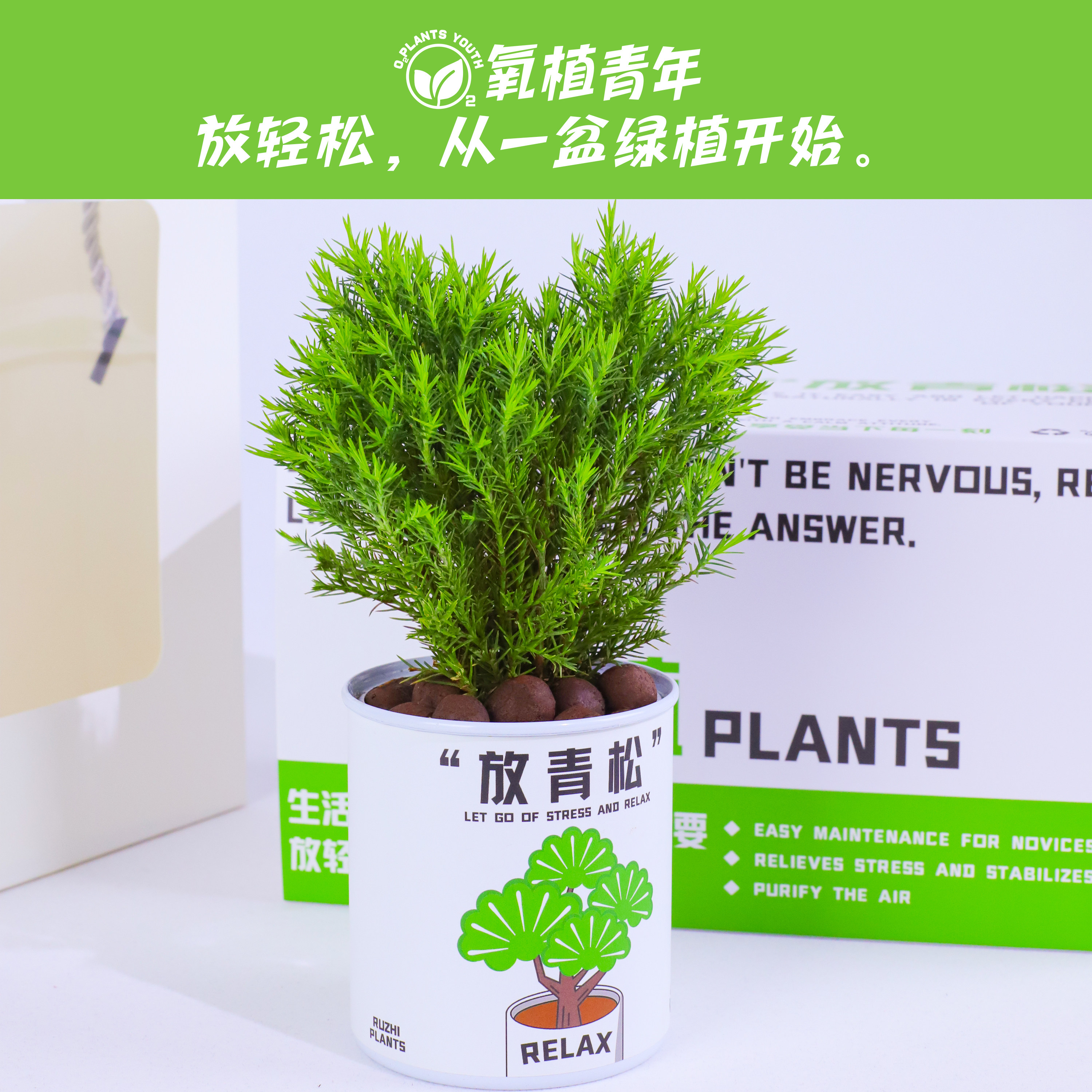 入植放轻松:青松雾凇绿植,办公室桌面小盆栽,情绪稳定植物送礼佳选!-绿植-淘宝好物网