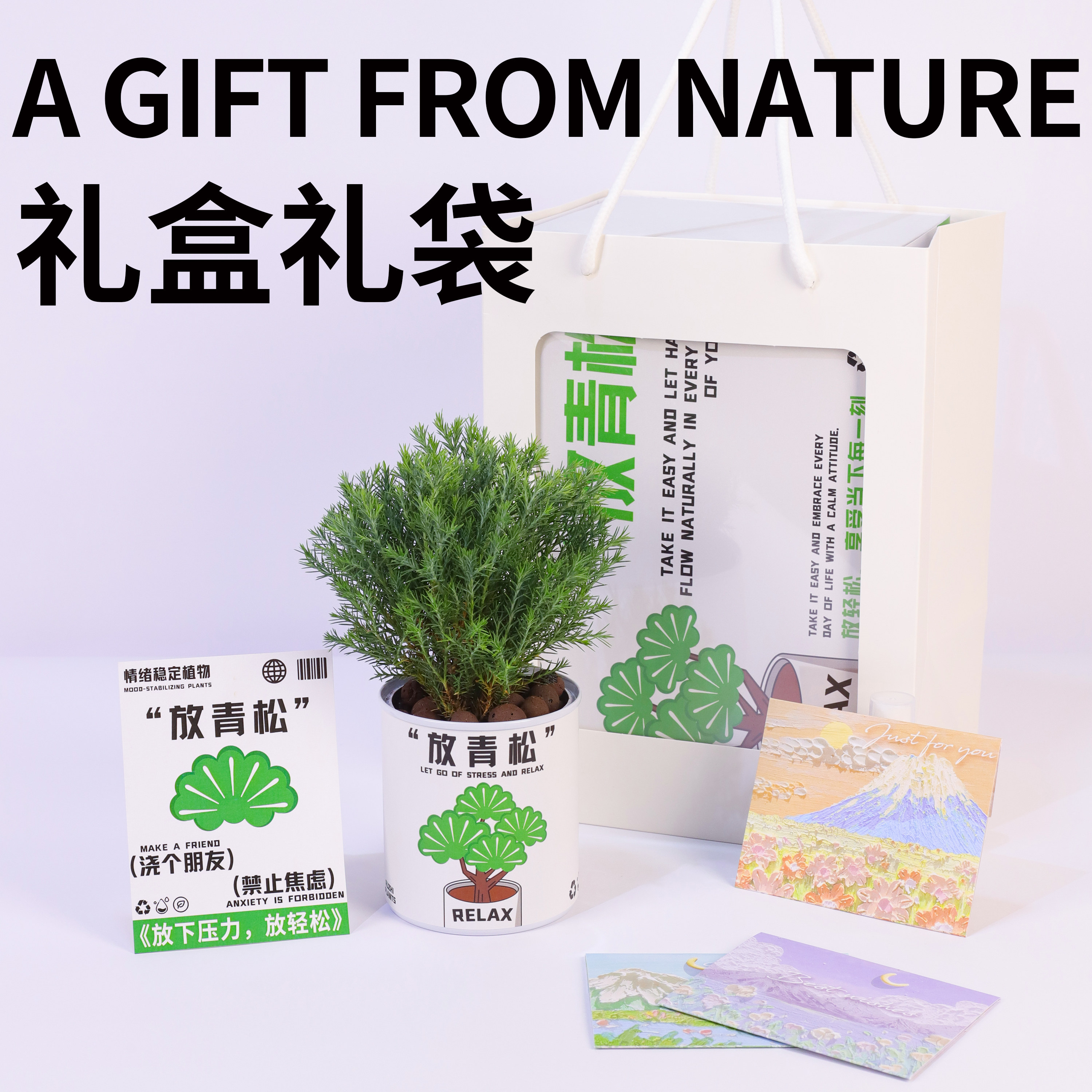 入植放轻松：青松雾凇绿植，办公室桌面小盆栽，情绪稳定植物送礼佳选！-绿植-淘宝好物网