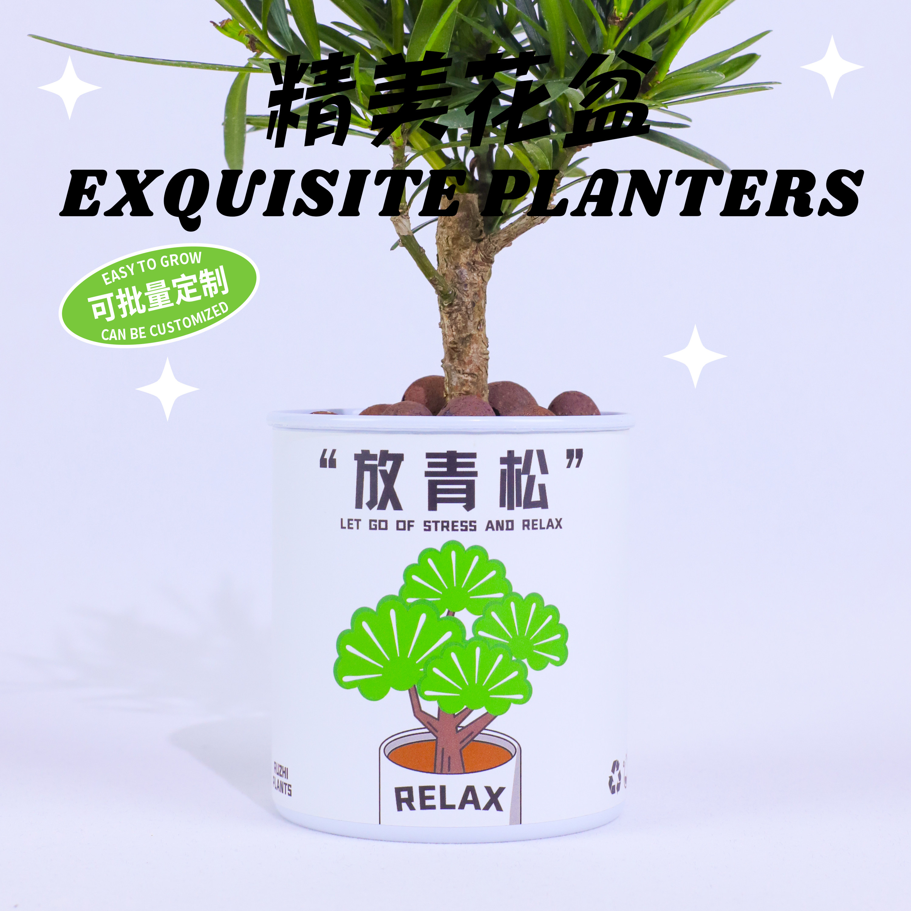 入植放轻松:青松雾凇绿植,办公室桌面小盆栽,情绪稳定植物送礼佳选!-绿植-淘宝好物网