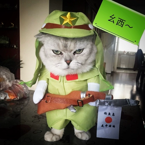 Домашняя одежда смешное платье Хэллоуин Рождественский творческий костюм собачья котенок кот