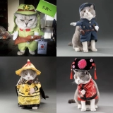 Домашняя одежда смешное платье Хэллоуин Рождественский творческий костюм собачья котенок кот