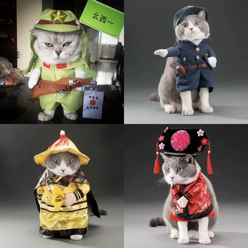 Домашняя одежда смешное платье Хэллоуин Рождественский творческий костюм собачья котенок кот