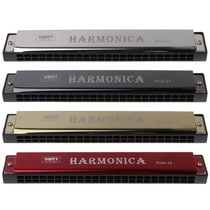 Professional 24 Hole Harmonica Mouth Metal Organ for Beginne
