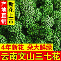 Panax notoginseng tea head crop authentic Yunnan Wenshan new 4-year-old special farm non-wild field seven flowers direct sales