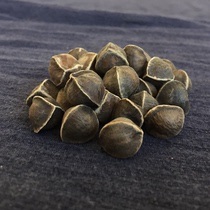 The efficacy of authentic Moringa seeds imported from India