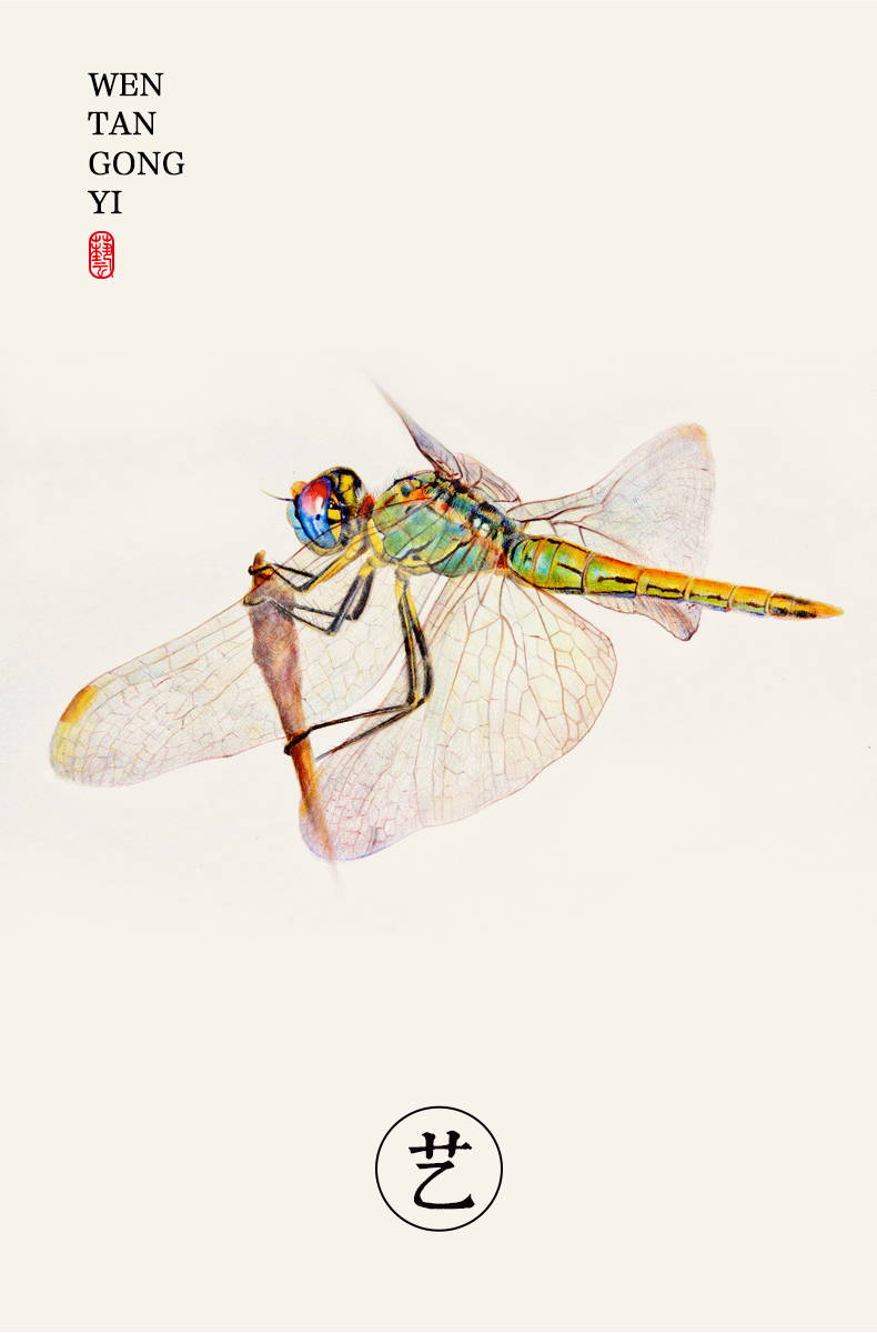 Лучшее сиденье Лин_09.jpg