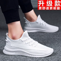 913 белый (обновляется)