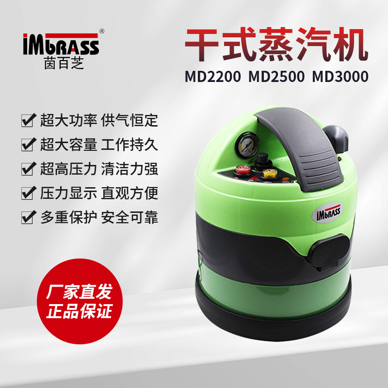 Yinbaiji Dry Steam Machine for Home and Commercial Use, Car Beauty, Sauna, Carpet, High Temperature and High Pressure Disinfection, Sterilization and Cleaning Machine