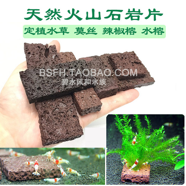 火山石片莫斯定植大三角火焰珊瑚水晶鬆茸鹿角苔水草缸蝦缸造景 火山石片莫斯定植大三角火焰珊瑚水晶鬆茸鹿角苔水草缸蝦缸造景