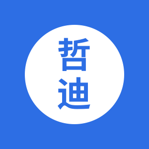 哲迪汽车用品改装店企业店的LOGO