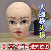 Beauty salon head mold emulation head mold facial dummy head model practice techniques massage model head acupoints