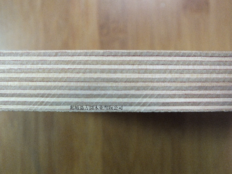 All birch 1220*2440*22mm multilayer board laser knife template die-cutting board knife template speaker board