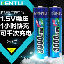 Golden Teforce 5 Rechargeable Lithium Battery Rechargeable Battery AA 5 Rechargeable Battery 1 5V Lithium rechargeable camera