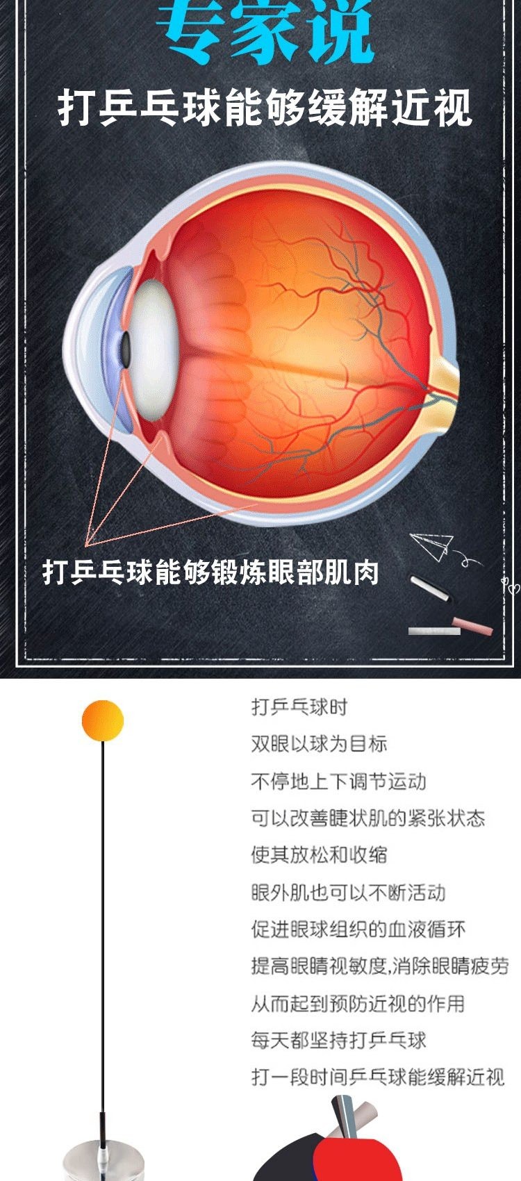 Trong nhà vợt bóng bàn vợt bóng bàn tự đào tạo nhân tạo người lớn thực hành chuyên nghiệp thiết bị rung hồi phục đàn hồi cốc hút - Bóng bàn bàn bóng bàn trẻ em