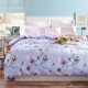 Cotton quilt cover Cotton đơn mảnh twill mùa xuân đơn đôi quilt Hàn Quốc sinh viên quilt bìa đặc biệt cung cấp