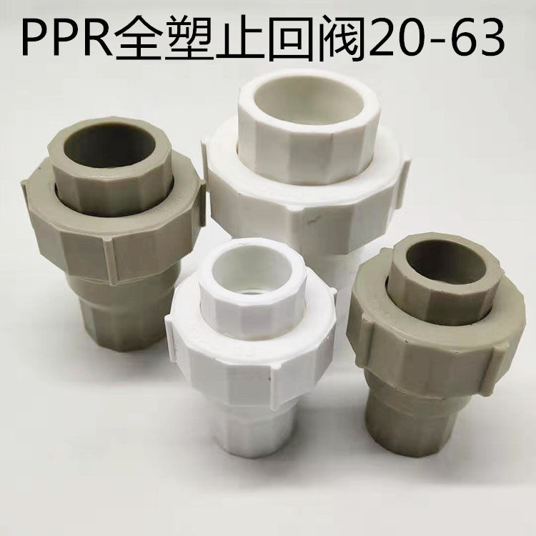 ppr check valve D20 25 32 4 6 points 1 inch horizontal backstop valve internal and external wire water pipe stop check valve PPR