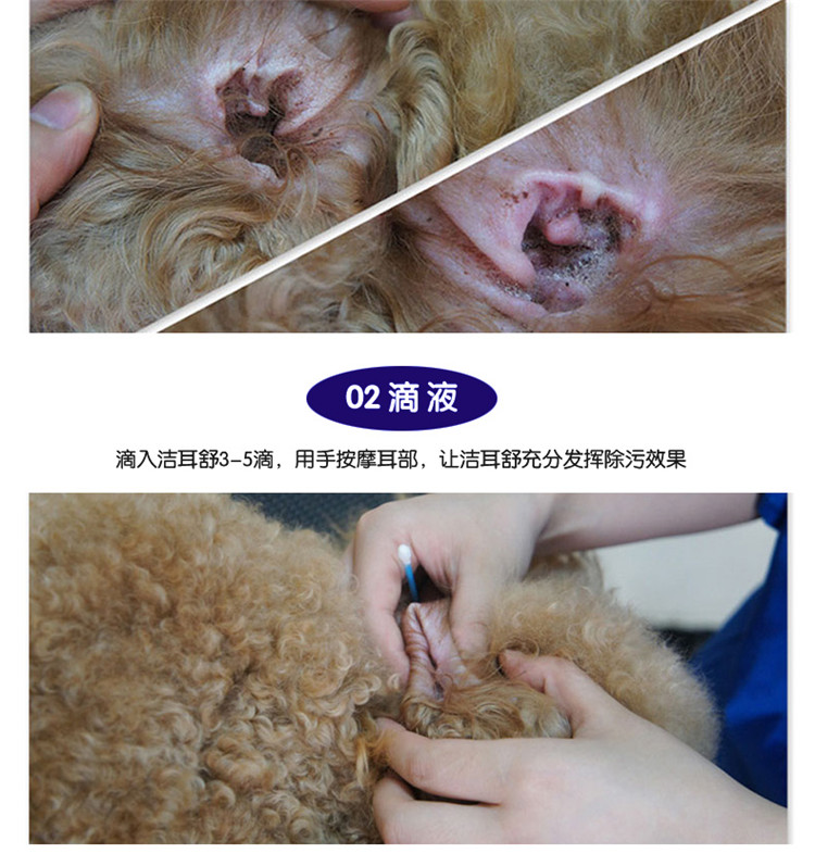 Boric acidborneol tai giọt pet mèo chó tai giọt dầu viêm tai viêm tai điếc làm sạch tai - Cat / Dog Beauty & Cleaning Supplies bàn chải chải lông chó