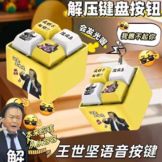 Wang Shijian Voice Button, Pronounce Calmly, Light-Up Keychain, Stress-Relief, Useless Button, Fun and Quirky