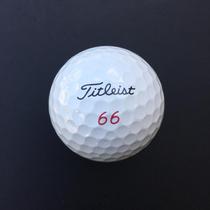 Titleist pro v1 v1x two three four five layers long distance practice game next golf