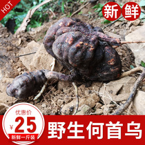 Wild Ho Shuuu fresh spot 500g removed hair white hair and black foaming tea cooking soup