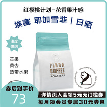 PINDA sunburn Goss yega snow fie Ethiopian full red fruit light baked single boutique hand sprint coffee beans