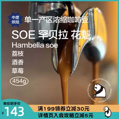 PINDA Single Product SOE Sun-dried Hanbera Oiran Ethiopia G1 Boutique Espresso Beans 454g