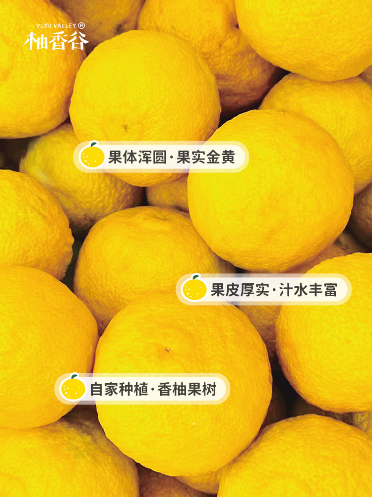 [Fireless Aromatherapy] Pomelo Fragrance Valley Pomelo Scent Yuzu Essential Oil Aromatherapy Fireless Diffuser for Indoor Home Air Freshening