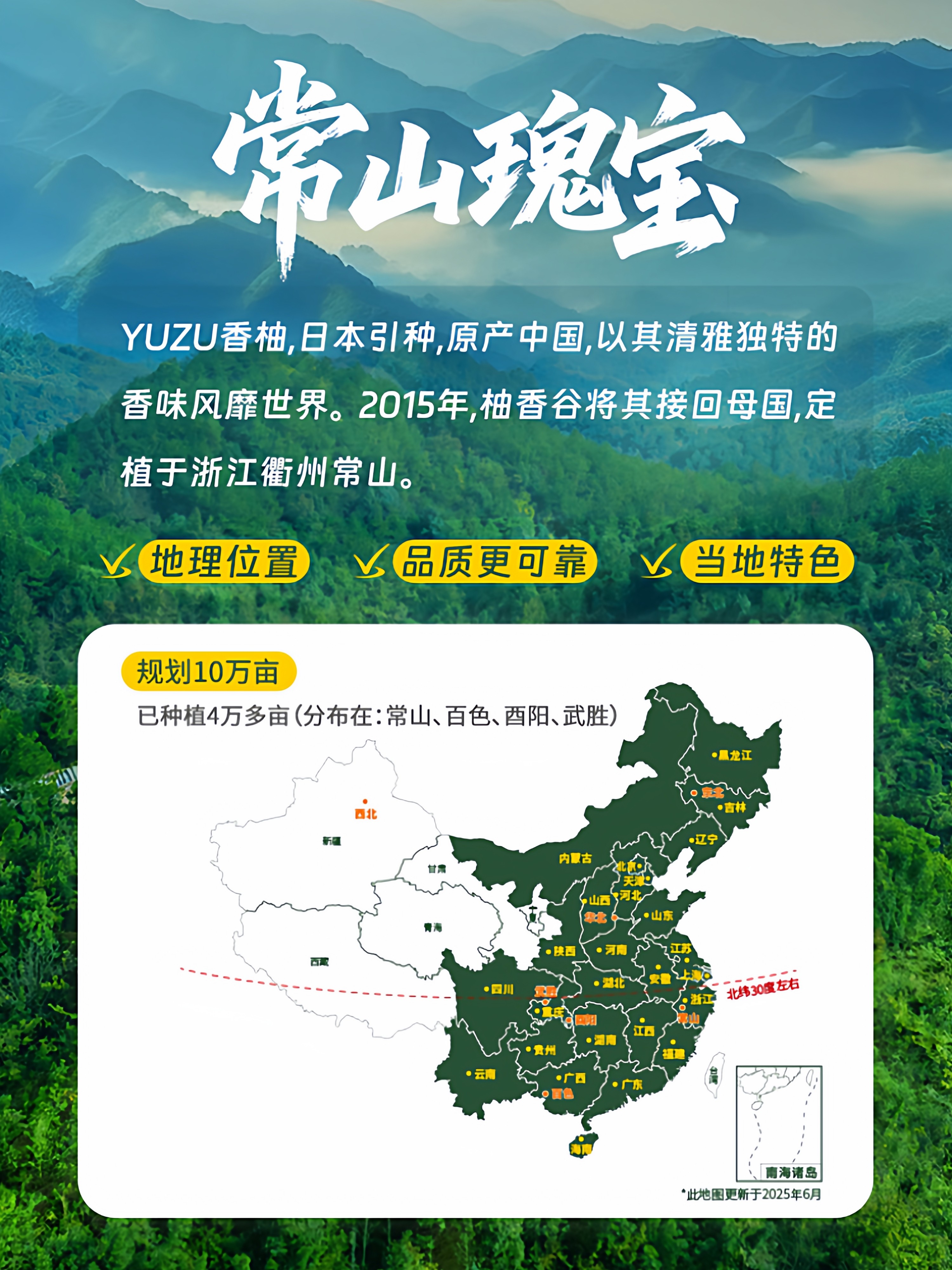 [10 Bottles Gift Box] Youxianggu Songyou Juice Double Pomelo Juice Pomelo Juice Fragrant Pomelo Huyou Juice Beverage Whole Box for Gift Giving