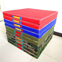 Sports mats children dance mat on upside gymnastics aerial waterproof young children protection ordering