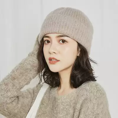 Wool hat female autumn and winter New Korean version of Joker thick warm ear protection casual windproof cap knitted hat