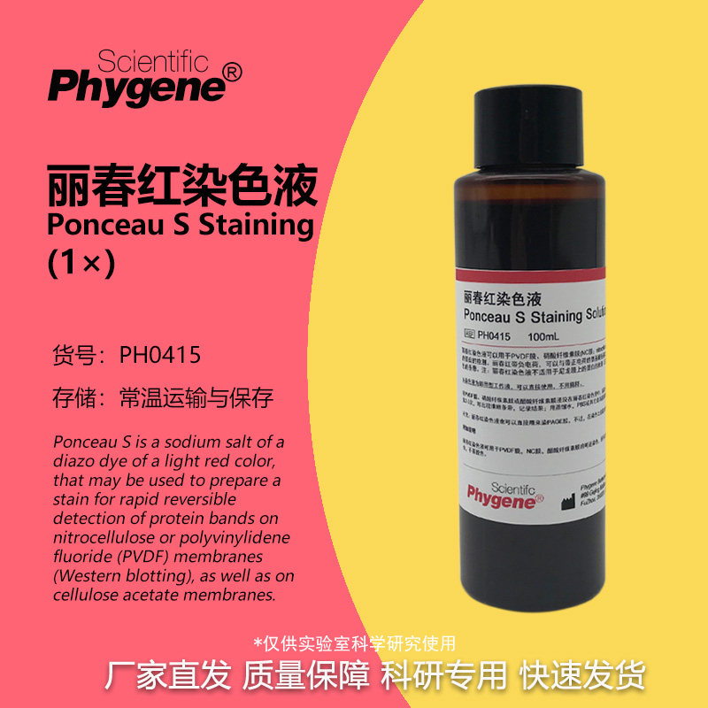 丽春红染色液 丽春红染液 实验专用 蛋白检测 [PH0415 PHYGENE]