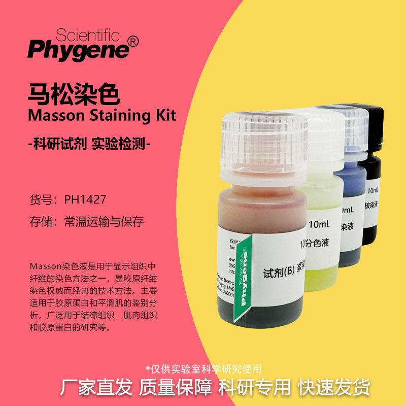 马松染色试剂盒 4&times;10mL Masson溶液马松三色染色 PH1427 PHYGENE