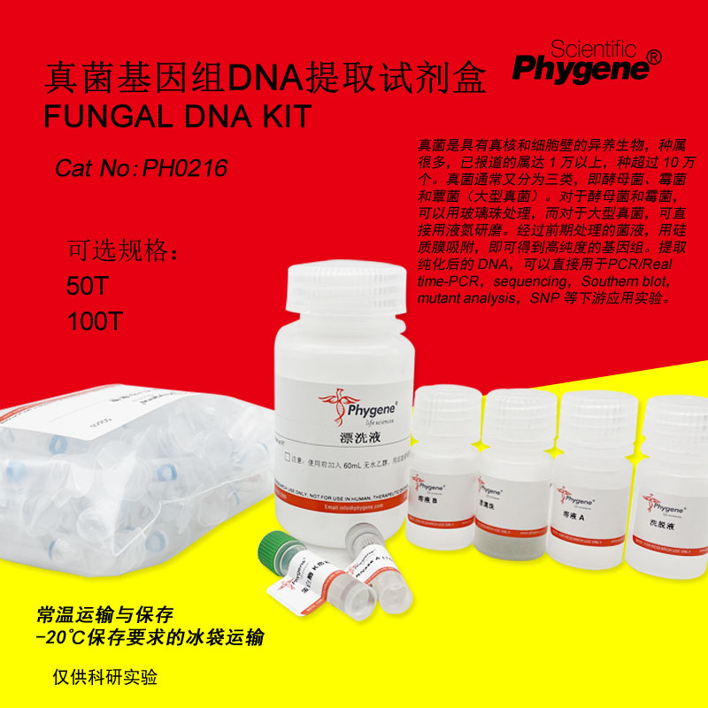 真菌基因组DNA提取试剂盒 Fungal DNA KIT 100T [PH0216 PHYGENE]