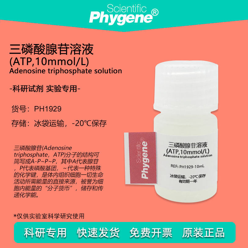 三磷酸腺苷溶液 (ATP,10mmol/L) 10mL 实验试剂 科研专用 PHYGENE