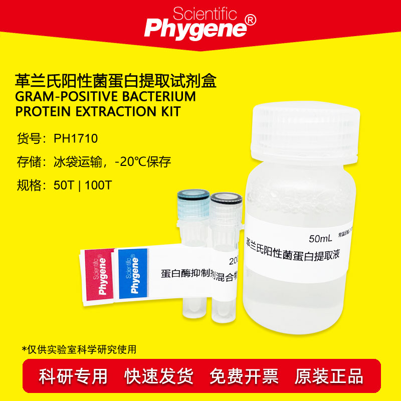 革兰氏阳性菌蛋白提取试剂盒 50T/100T 科研 [PH1710 PHYGENE]