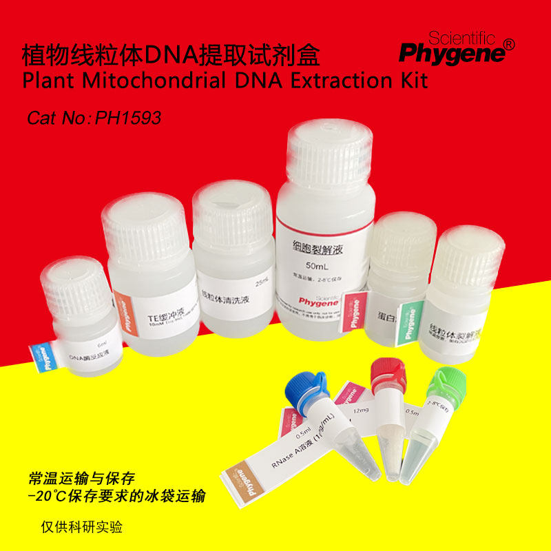 植物线粒体DNA提取试剂盒 科研实验专用 100T [PH1593 PHYGENE]