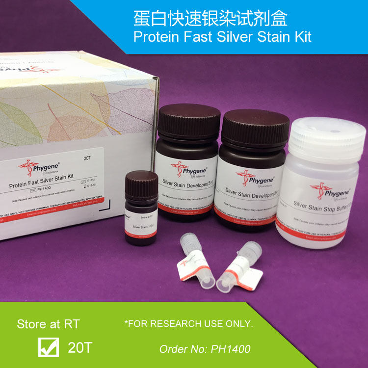 PH1400 蛋白快速银染试剂盒 蛋白银染 科研 可开票 Phygene