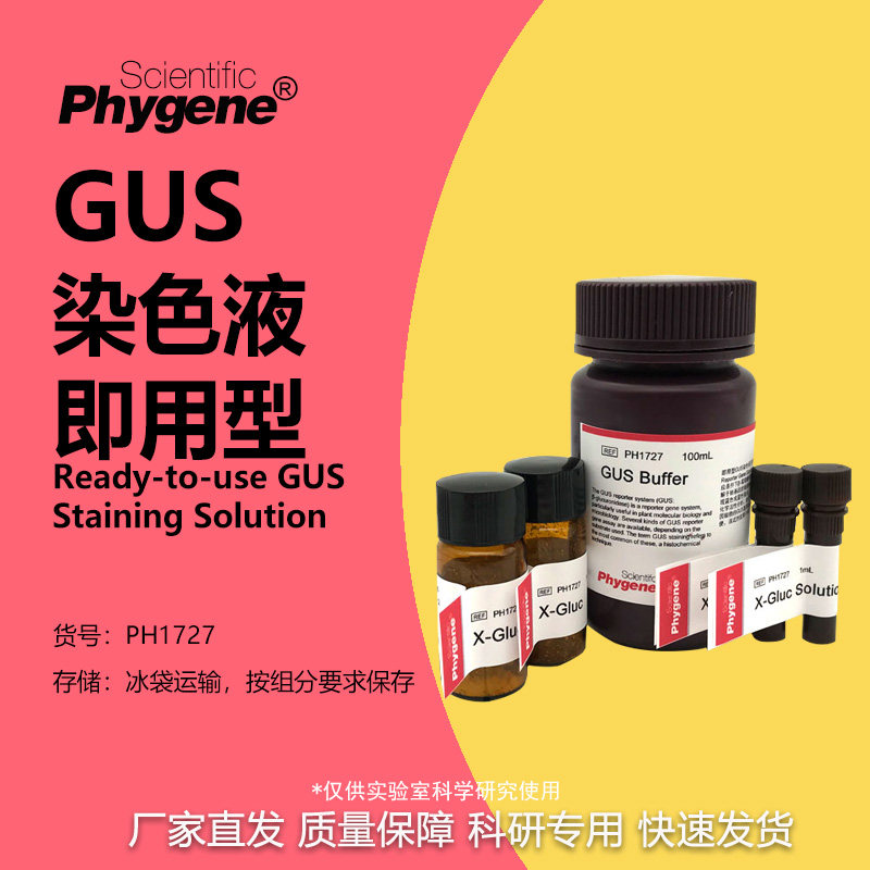 即用型GUS染色液 &beta;-葡萄糖苷酶基因染色试剂盒 50mL PHYGENE