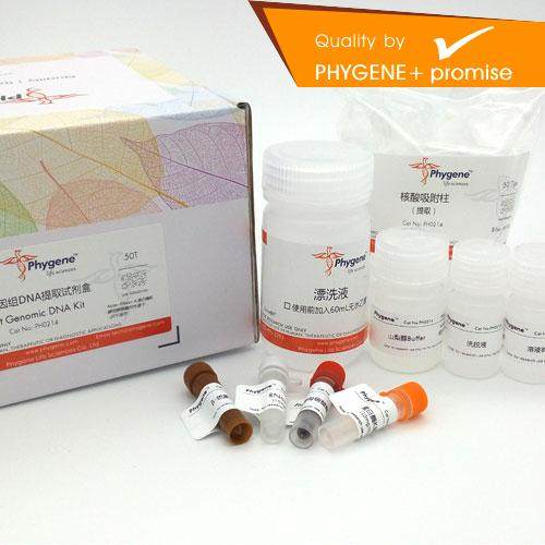 PH0214  酵母基因组DNA提取试剂盒 实验 试剂盒 包邮 Phygene