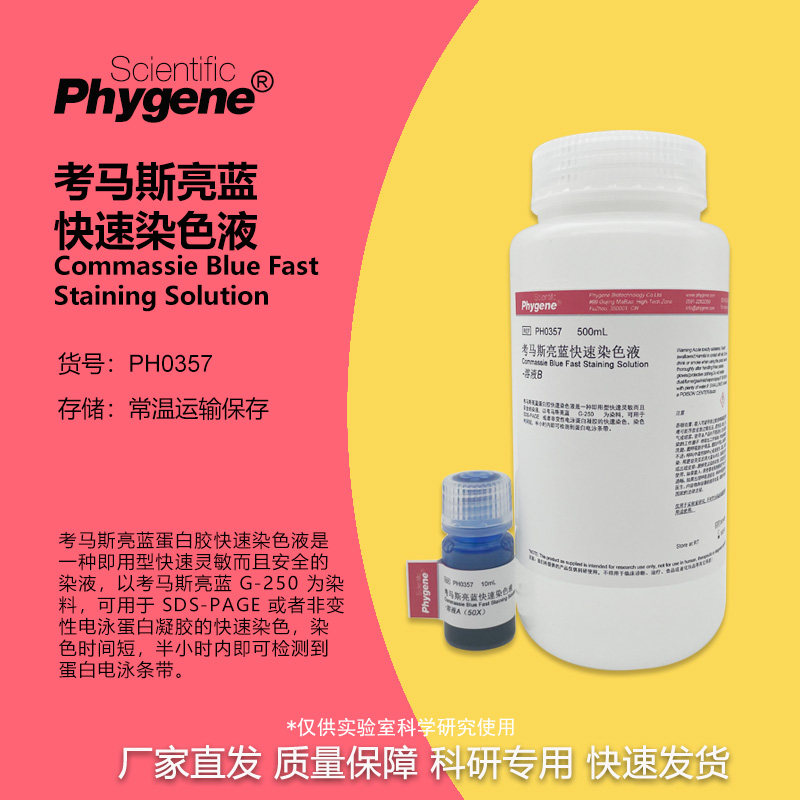 考马斯亮蓝快速染色液 蛋白电泳10+500mL 浓缩液 PH0357 PHYGENE