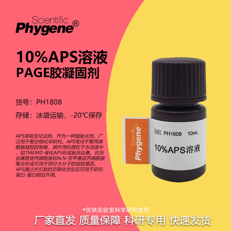 10%PAGE胶凝固剂 10%AP溶液 APS溶液 10mL [PH1808 PHYGENE]