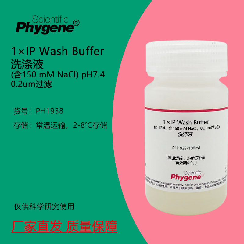 1&times;IP Wash Buffer洗涤液 (含150 mM NaCl) 100mL 免疫沉淀实验