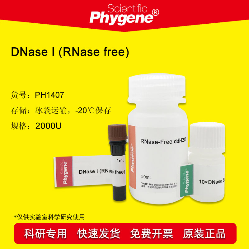 脱氧核糖核酸酶I DNase I (RNase free) 2000U [PH1407 PHYGENE]