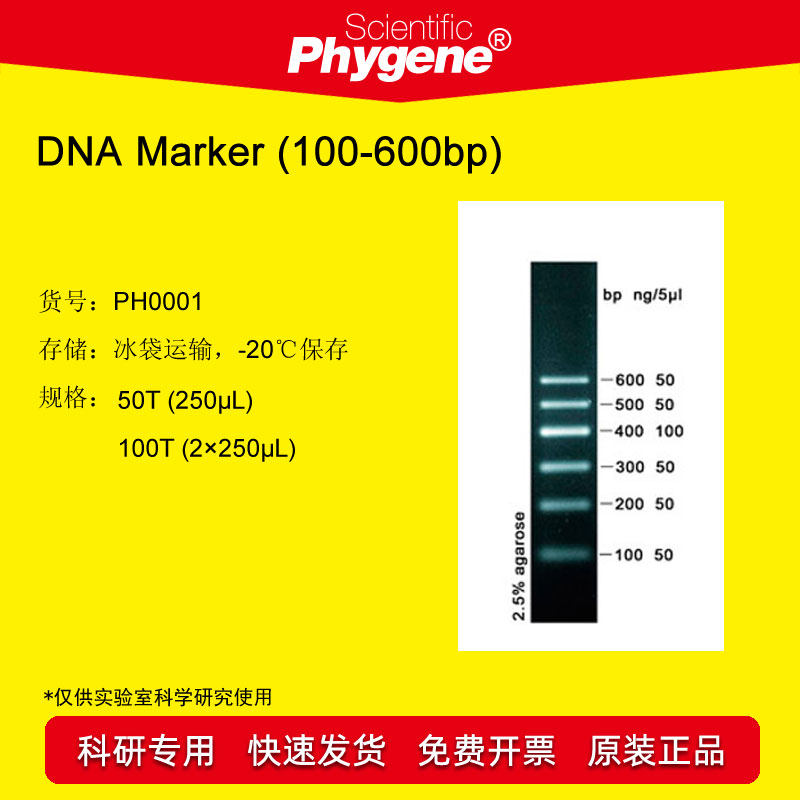 DNA Marker I (100-600bp) 100T [PH0001 PHYGENE]