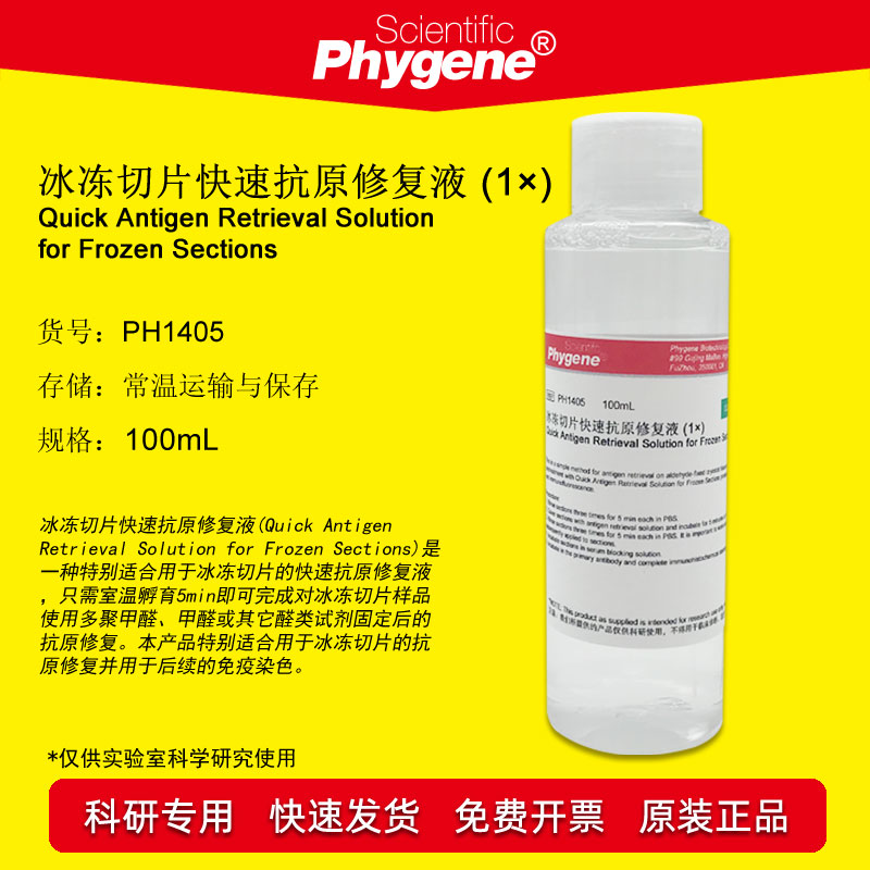 冰冻切片快速抗原修复液 (1&times;) 实验专用 [PH1405 PHYGENE]