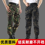 Камуфляжные демисезонные износостойкие дорожные рабочие штаны