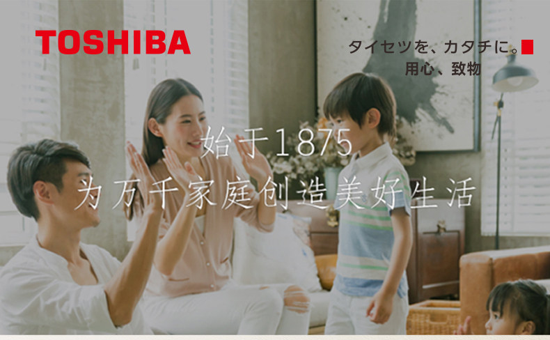 Toshiba Independence Warm Control по 210322_01.jpg